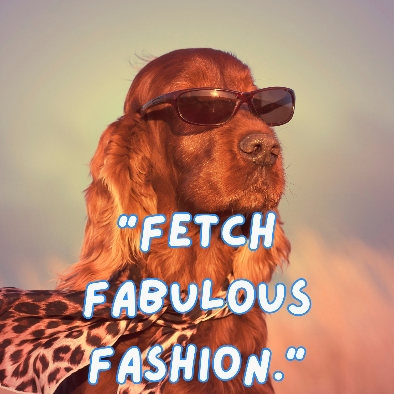 Best in Show. Fetch fabulous fashion.